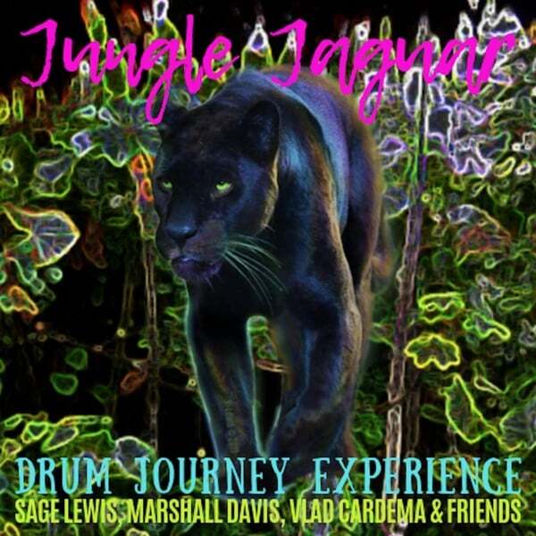 Cover art for Jungle Jaguar: Drum Journey Experience